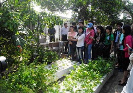 Tham quan mô hình trồng rau thủy canh do thanh niên Đà Nẵng thực hiện.
